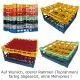 Fries Rack Gläserkorb Typ D-4x5 für 20 Gläser